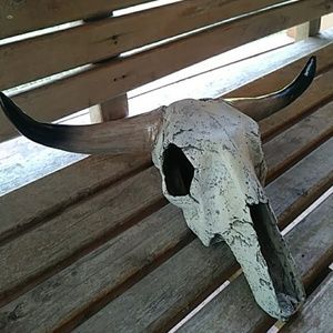 Imitation cow skull mini.